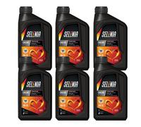 SELENIA 6 Litri Olio Motore 0W20 Acea C5 ECO2 PLUS per Auto Ibride 9.55535-DM1
