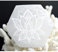 Selenite / Gesso - 10 Cm - Marocco - Fiore Di Loto