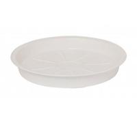 SELETTI ESTETICO QUOTIDIANO TEGLIA CM 29