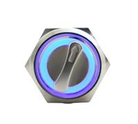 Selettore rotativo Interruttore a pulsante illuminato da 22 mm, 2 o 3 posizioni, selettore rotante in metallo con LED, impermeabile, 5 V, rosso, verde e bianco(Bule Led,MOMENTARY_2 POSITION_220V)