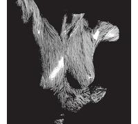 Self-Preserved While The Bodies Float Up (15th Anniversary Edition)