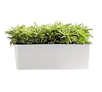 Self Watering Plant Pots - Breathable Flowerpot Planter, Indoor and Outdoor Self Watering Container for Plants and Herbs, Ideal for Living Room, Balcony, Patio, Windowsill, Entrance, Vacation