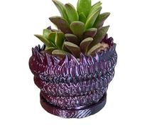 Self Watering Pots, Automatic Planter Gardening System, Indoor Outdoor Moisture Control Container, 3D Printed Plant Pot Lightweight Build, Decorative Dragon Style Design, Garden Planter for Home