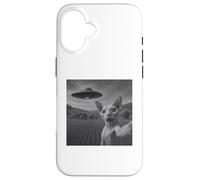 Selfie del gatto UFO Sphynx con umorismo per gli amanti Custodia per iPhone 16