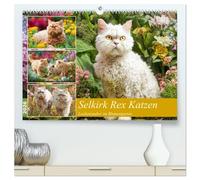 Selkirk Rex Katzen. Lockenzauber im Blumengarten (hochwertiger Premium Wandkalender 2026 DIN A2 quer), Kunstdruck in Hochglanz: Diese besonderen Katzen erobern mit ihren charmanten Locken den Garten