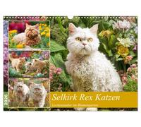 Selkirk Rex Katzen. Lockenzauber im Blumengarten (Wandkalender 2026 DIN A3 quer), CALVENDO Monatskalender: Diese besonderen Katzen erobern mit ihren charmanten Locken den Garten