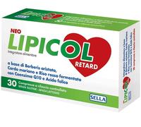 Neo Lipicol Retard Compresse 28,5 g Compresse