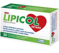 Neo Lipicol Retard Compresse 28,5 g Compresse