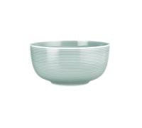 Seltmann Weiden Beat Arktisblau Ciotola Per Cibo 17,5 Cm