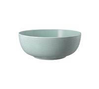 Seltmann Weiden Beat Arktisblau Ciotola Per Cibo 20 Cm