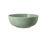 Seltmann Weiden Beat Salbeigrün Ciotola Da Cibo 20 Cm