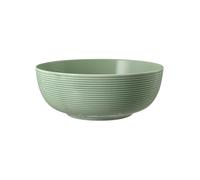Seltmann Weiden Beat Salbeigrün Ciotola Da Cibo 20 Cm