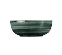Seltmann Weiden Terra Verde Muschio Ciotola 20 Cm