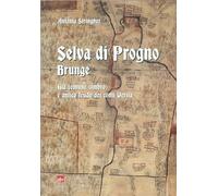 Selva di Progno. Brunge. Già comune cimbro e antico feudo dei conti Verità