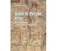 Selva di Progno. Brunge. Già comune cimbro e antico feudo dei conti Verità