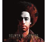 Selwyn Birchwood Living in a Burning House (Vinyl LP) 12" Album Coloured Vinyl