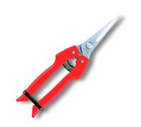 Semar - Forbice Coglifrutta Ars Inox A.Se45