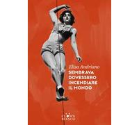 Sembrava dovessero incendiare il mondo