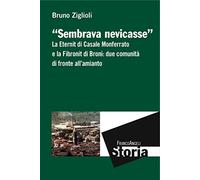 Sembrava nevicasse. La Eternit di Casale Monferrato e la Fibronit di Broni: due comunità di fronte all'amianto