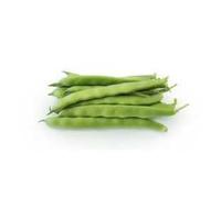 Seme di Fava Histal da Giardino - 100 g Scondizionato - Varietà Semi-Precoce e Resistente al Freddo - Con Lotto e Provenienza - Semi Italiani per Orto PROFESSIONALE
