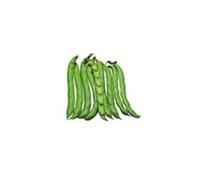 Seme di Fava Histal da Giardino - 500 g Scondizionato - Varietà Semi-Precoce e Resistente al Freddo - Con Lotto e Provenienza - Semi Italiani per Orto PROFESSIONALE