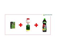 Seme PASPALUM NOTATUM GRAMIGNONE+ANTIFORMICA+RINVERDENTE PRATO SEME VERDE