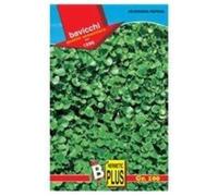 Seme per Prato Dichondra Repens 500 gr Miscuglio Tappeti Erbosi poca irrigazione