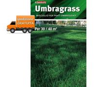 Seme per Prato Umbragrass 1 kg Miscuglio Graminacee tappeti erbosi Ombreggiati