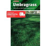 Seme per Prato Umbragrass 5 kg Miscuglio Graminacee tappeti erbosi Ombreggiati