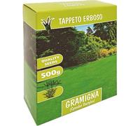 Seme Prato Gramigna 500 g 2 Pezzi