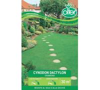 Olter Cynodon Dactylon gramigna Tappeto erboso 500g