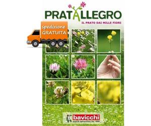 Seme Prato Pratallegro mille fiori 1kg Miscuglio Graminacee Rustico poca acqua