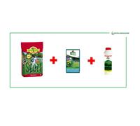 Seme Sport Resistente 5kg Miscuglio FESTUC CONCIME UNIVERSALE+ANTIFORMICA