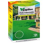 SEMENTE PRATO CALPESTABILE SCATOLA KG.1 PER TAPPETI ERBOSI PAPILLON COD.FI96894