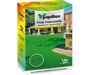 SEMENTE PRATO CALPESTABILE SCATOLA KG.1 PER TAPPETI ERBOSI PAPILLON COD.FI96894