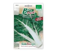 SEMENTI BIOLOGICHE PER ORTAGGI IN BUSTINA AD USO AMATORIALE (BIETA DA COSTE)