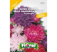Sementi da fiore di qualità in bustina per uso amatoriale (ASTRO GIGANTE DELLA CALIFORNIA DOPPIO IN MISCUGLIO)