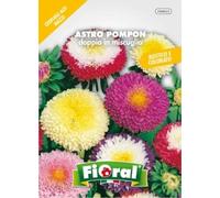 Sementi da fiore di qualità in bustina per uso amatoriale (ASTRO POMPON DOPPIO IN MISCUGLIO)