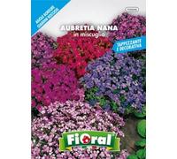 Sementi da fiore di qualità in bustina per uso amatoriale (AUBRETIA NANA IN MISCUGLIO)