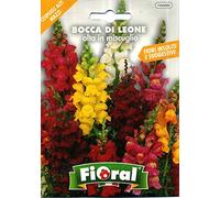 Sementi da fiore di qualità in bustina per uso amatoriale (BOCCA DI LEONE ALTA IN MISCUGLIO)