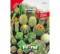 Sementi da fiore di qualità in bustina per uso amatoriale (CACTACEE IN MISCUGLIO)