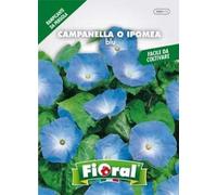 Sementi da fiore di qualità in bustina per uso amatoriale (CAMPANELLA O IPOMEA BLU)