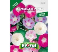 Sementi da fiore di qualità in bustina per uso amatoriale (CAMPANELLA O IPOMEA IN MISCUGLIO)