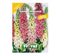 Sementi da fiore di qualità in bustina per uso amatoriale (DIGITALE EXCELSIOR IN MISCUGLIO)
