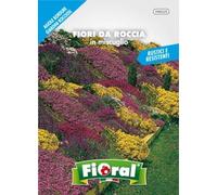 Sementi da fiore di qualità in bustina per uso amatoriale (FIORI DA ROCCIA IN MISCUGLIO)
