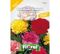 Sementi da fiore di qualità in bustina per uso amatoriale (GAROFANO CHABAUD DOPPIO IN MISCUGLIO)