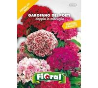 Sementi da fiore di qualità in bustina per uso amatoriale (GAROFANO DEI POETI DOPPIO IN MISCUGLIO)