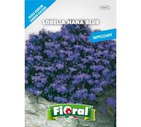 Sementi da fiore di qualità in bustina per uso amatoriale (LOBELIA NANA BLUE)