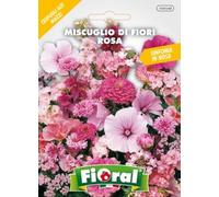 Sementi da fiore di qualità in bustina per uso amatoriale (MISCUGLIO DI FIORI ROSA)