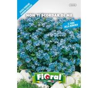 Sementi da fiore di qualità in bustina per uso amatoriale (NON TI SCORDAR DI ME)